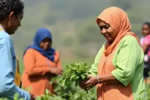 Desenrola Brasil